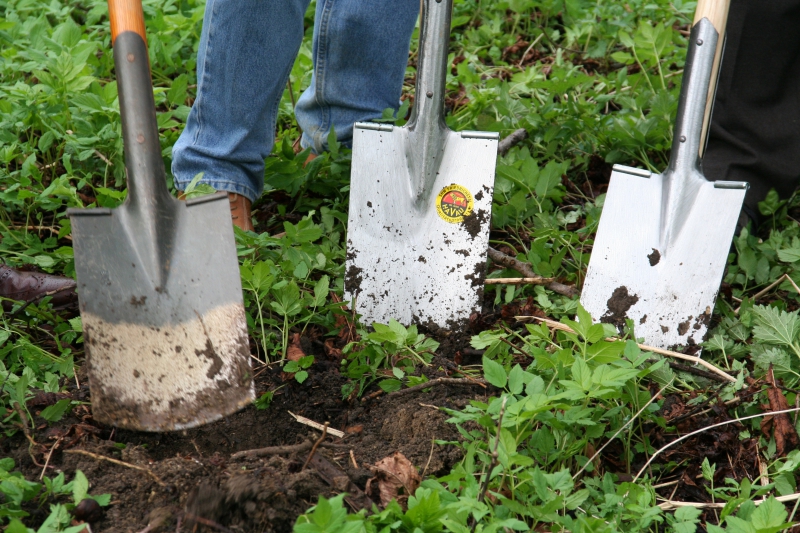 pepiniere-MOUANS SARTOUX-min_work-lawn-flower-tool-green-backyard-1103633-pxhere.com